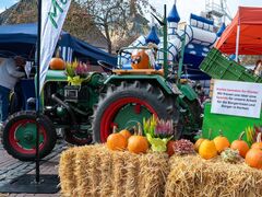 Mitmachaktion für Kinder – Kürbisse bemalen