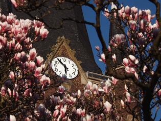 Gewinnerfoto von Max Wolthmann