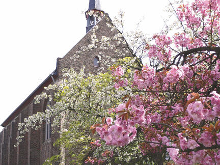 Gewinnerfoto Ü25 von Dirk Langer