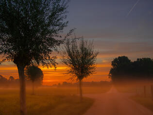 Gewinnerin Platz 1, Ulrike Stockhausen