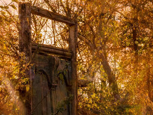 Gewinnerin Platz 2, Ulrike Stockhausen