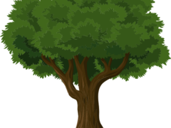 Antrag Baumgutscheine