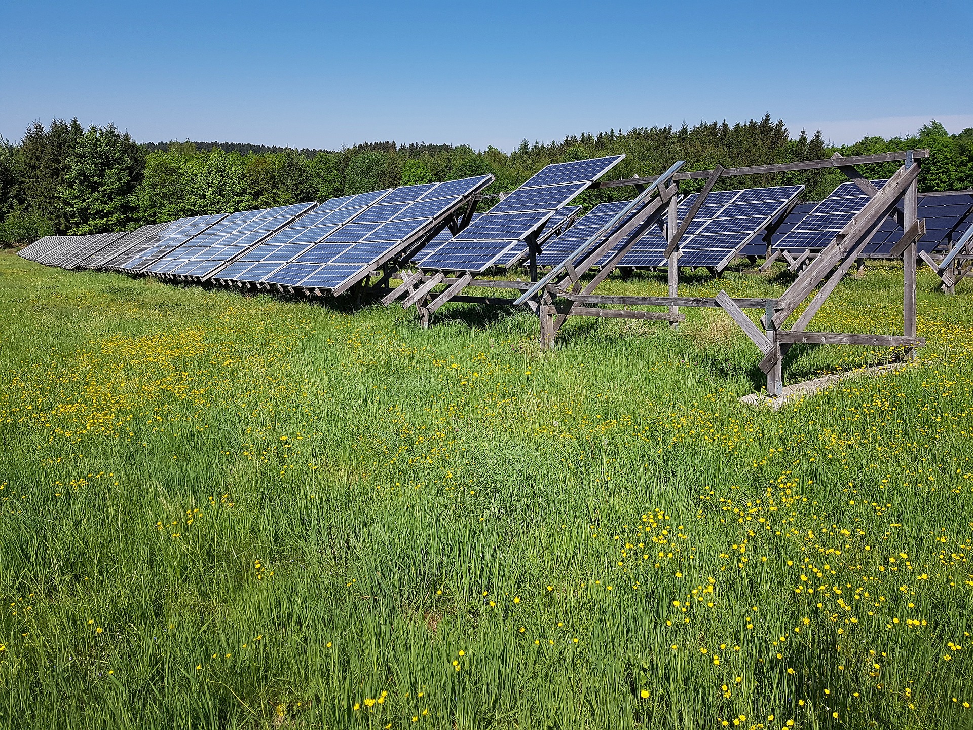 Photovoltaik auf Wiesen und landwirtschaftlichen Feldern